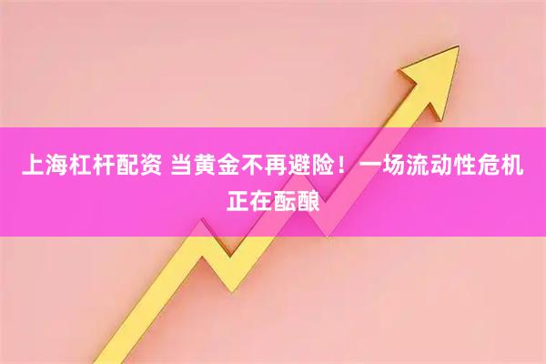 上海杠杆配资 当黄金不再避险！一场流动性危机正在酝酿