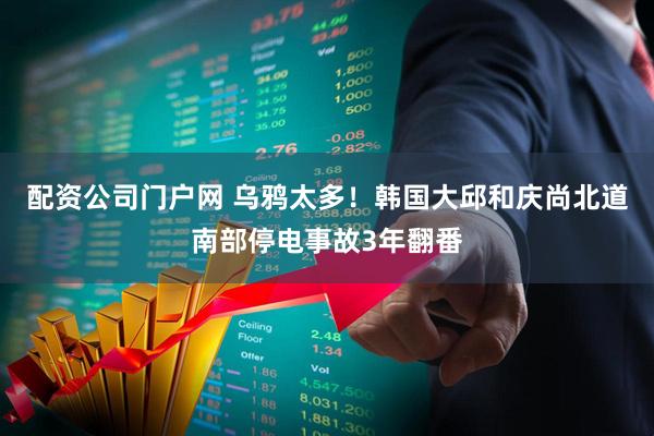 配资公司门户网 乌鸦太多！韩国大邱和庆尚北道南部停电事故3年翻番